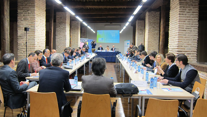 VIII reunión de la Junta Directiva de RECI en Segovia
