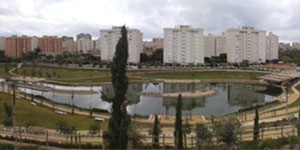 Soluciones naturales para los retos urbanos en la ciudad de Alicante