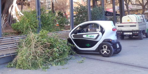 Coches eléctricos para labores en parques y jardines de Murcia