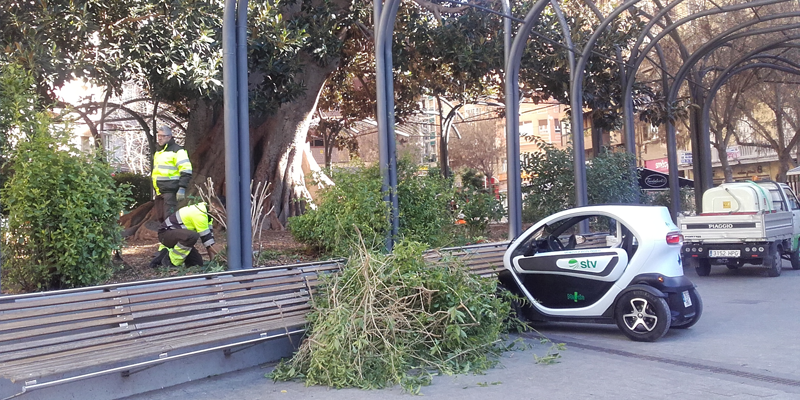 Uno de los coches eléctricos que forman parte del Servicio de Parques y Jardines de Murcia.
