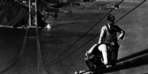 Llamamiento de colaboración para un proyecto de investigación de Ecosistema Urbano