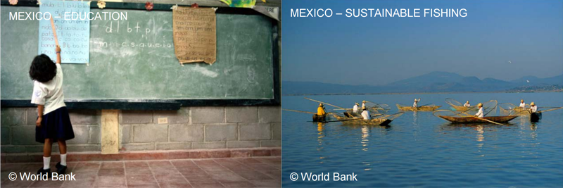 La educación o la sostenibilidad ambiental son algunos de los objetivos para los que invertir en los primeros bonos asociados a los Objetivos de Desarrollo Sostenible emitidos por el Banco Mundial.