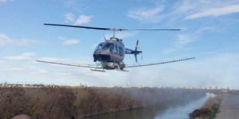 Tecnología Smart City para combatir las plagas