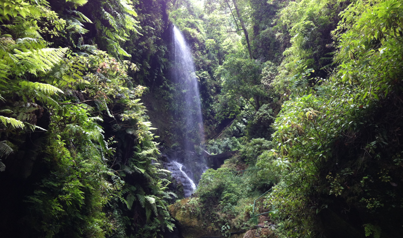 El proyecto de isla inteligente permitirá a la red de parques naturales de La Palma disponer de un sistema de alertas para prevenir situaciones que pongan en peligro su riqueza natural.