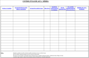 Figura 3. Cuadro de datos de control de fugas.