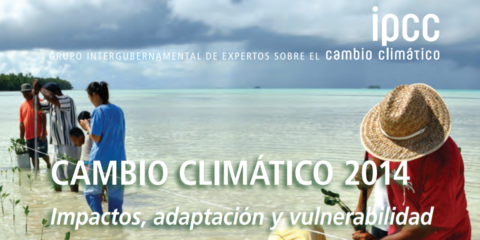 El Grupo Intergubernamental de Expertos sobre Cambio Climático busca expertos para su Informe de Evaluación