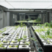Francia desarrolla un proyecto de agricultura urbana digital que utiliza análisis de datos y Realidad Virtual
