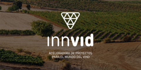 Valladolid lanza la I convocatoria Innvid sobre industria del vino y enoturismo como destino turístico inteligente