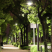 Alcobendas instala telegestión y luminarias LED que le permiten un ahorro energético del 70%