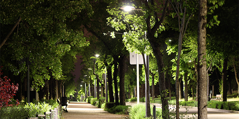 Luminarias LED con telegestión punto a punto instaladas en un paseo de Alcobendas (Madrid).