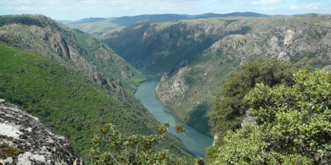 Parques naturales de Castilla y León y Portugal prestan bicicletas y coches eléctricos a sus visitantes