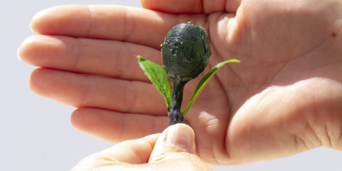 Desarrollan un sistema de alerta y geolocalización de robos en cultivos que se usa desde el móvil