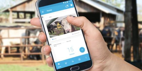 Conectividad en zonas remotas, drones para controlar el tráfico y TICs aplicadas a la ganadería, ideas premiadas por Telefónica