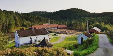 La localidad noruega de Liberstad adopta la criptomoneda City Coin como su sistema de pago basado en blockchain