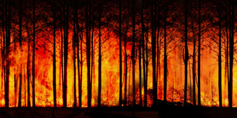Emergencias de la Generalitat Valenciana aplicará un modelo predictivo de teledetección de incendios forestales