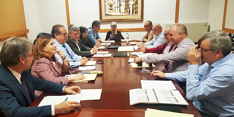 primera reunión del proyecto piloto, en la que ha participado responsables del Instituto Aragonés de Servicios Sociales (IASS), del Instituto Aragonés de Empleo (Inaem), junto a representantes del Ministerio de Sanidad, Consumo y Bienestar Social y el Servicio Público de Empleo Estatal, impulsores del proyecto.