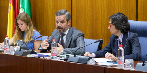 Andalucía quiere poner en circulación 1.200 nuevos coches eléctricos y triplicar los puntos de recarga