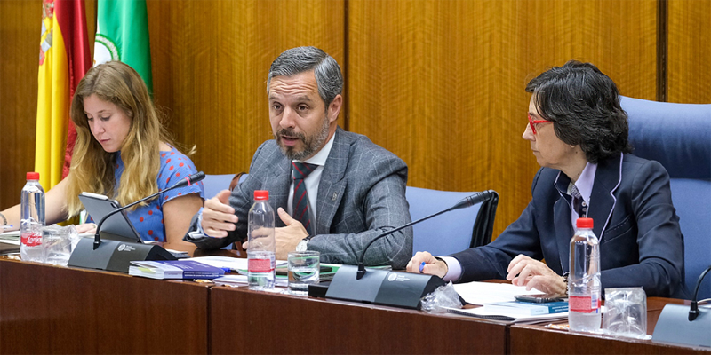 Juan Bravo, consejero de Hacienda, Industria y Energía de la Junta de Andalucía durante la comisión parlamentaria en la que explicó los programas para fomentar la movilidad eléctrica.