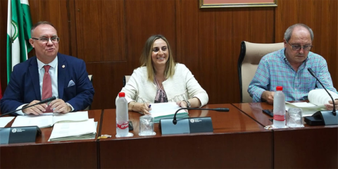 La Junta de Andalucía proyecta una nueva Ley de Ordenación del Transporte y de la Movilidad Sostenible