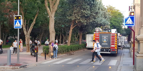 Más de 50 municipios aplican los pasos de peatones inteligentes de Proinova