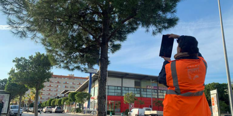 El municipio valenciano de Paterna inicia su plan para geoposicionar los árboles de la ciudad