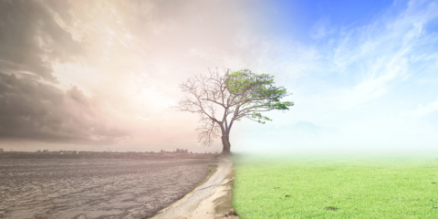 El Parlamento Europeo aprueba una resolución que declara la emergencia climática global