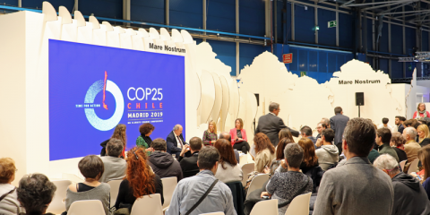 Celebración de la 25ª Cumbre del Clima en Madrid
