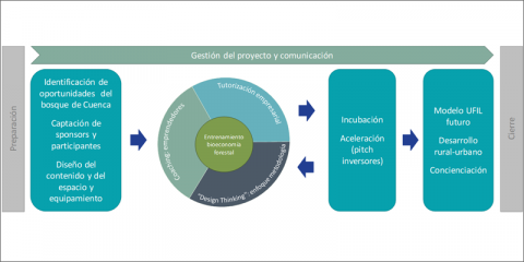 Urban Forest Innovation Lab Cuenca – Diseño de una acción urbana innovadora sobre emprendimiento en la bioeconomía forestal
