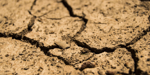 Andalucía aprueba la creación de una Comisión Interdepartamental de Cambio Climático regional
