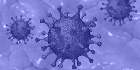 La Comisión Europea busca soluciones innovadoras para abordar el brote de coronavirus