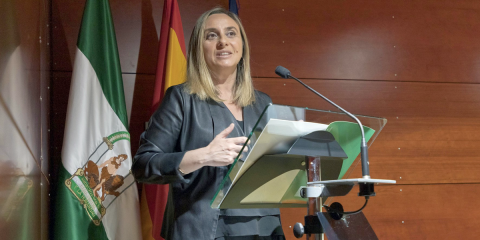 Presentado el proyecto de Compra Pública de Innovación del puente del Odiel en Huelva