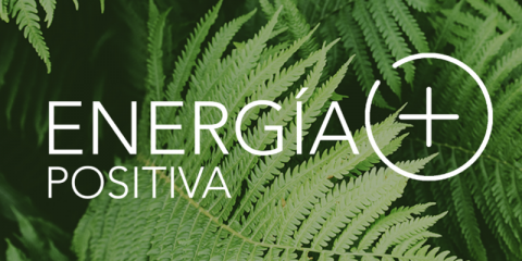 Start-ups y scale-ups pueden presentar proyectos innovadores a la iniciativa Energía Positiva+