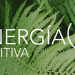 Start-ups y scale-ups pueden presentar proyectos innovadores a la iniciativa Energía Positiva+