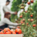 ‘Huerta Próxima’ ayudará a los agricultores a comercializar sus productos online