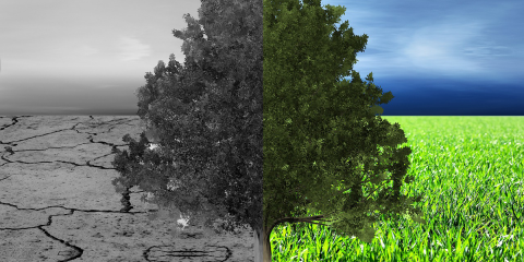 El Miteco refuerza su estructura en materia de transición ecológica, medio ambiente y reto demográfico