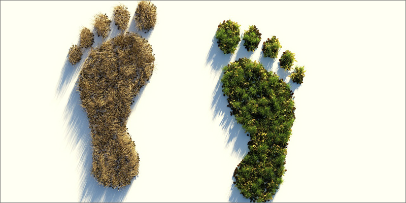 El impacto ambiental de la huella de carbono puede ser personal, de una organización, de un evento o de un producto o servicio.