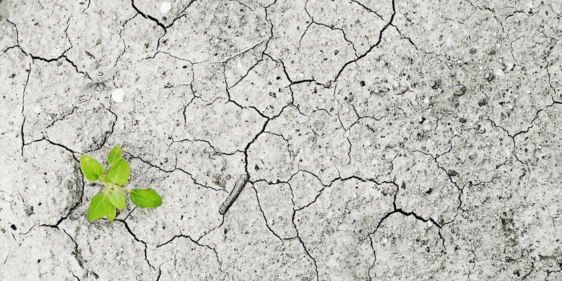 Las ciudades inteligentes se encaminan cada vez más hacia un modelo de ciudad sostenible para combatir el cambio climático.