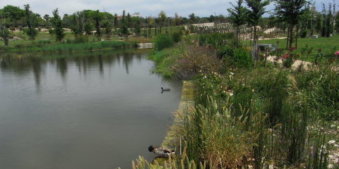 SUEZ apuesta por una reconstrucción económica basada en planes sostenibles