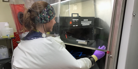 Un estudio confirma que la luz UV-C de Signify es efectiva para desactivar el COVID-19