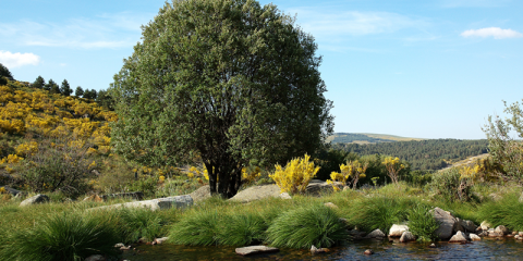 Nanosensores para medir la calidad del aire en Navarredonda de Gredos, Ávila