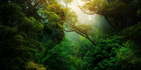 Formación online gratuita para mejorar la sostenibilidad en los municipios rurales