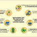 Aprobada la Estrategia de Descarbonización a Largo Plazo 2050