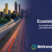 Ecosistema IoT de Wellness TechGroup