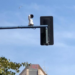 Alicante comienza la instalación de 156 cámaras inteligentes para mejorar la movilidad