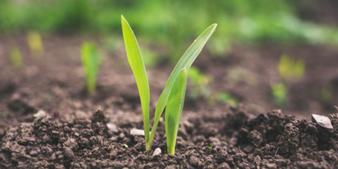 Grupo SUEZ se suma a la iniciativa ‘Circulares y Sostenibles 2025’ para mejorar la gestión de residuos