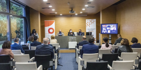 La Red Innpulso renueva su Consejo Rector en su jornada anual plenaria de 2021