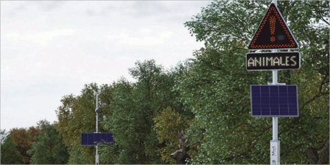 Las soluciones de LACROIX contribuyen a reducir las colisiones con animales en las carreteras