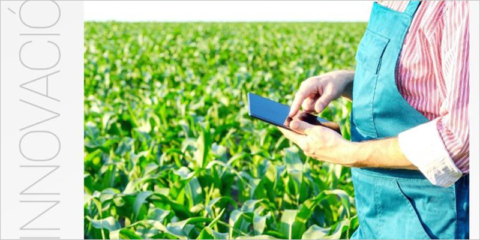 El programa ‘Territorios innovadores’ ayudará a digitalizar los municipios de la Comunidad Valenciana