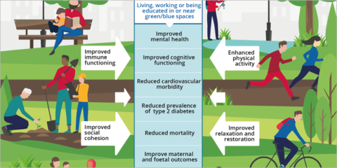 Las ciudades del norte y oeste de Europa tienden a tener más zonas verdes, según un informe de la EEA