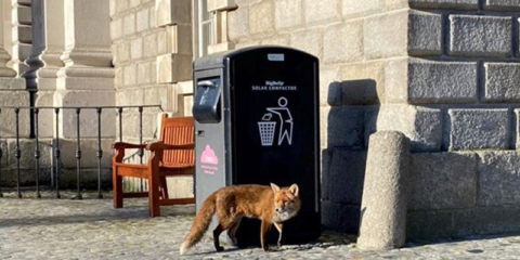 Future Street realiza un balance del despliegue de papeleras inteligentes Bigbelly en Europa